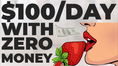 How to Make $100 Per Day Online With Zero Money