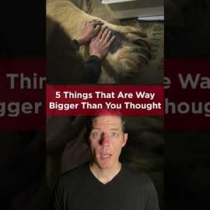 5 THINGS THAT ARE WAY BIGGER THAN YOU THOUGHT