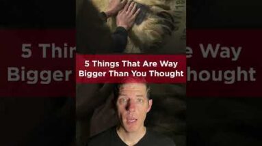 5 THINGS THAT ARE WAY BIGGER THAN YOU THOUGHT