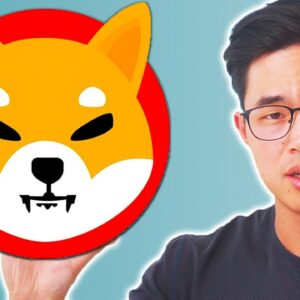 The TRUTH About Shiba Inu (Should you Invest?)